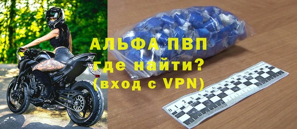 стаф Зерноград