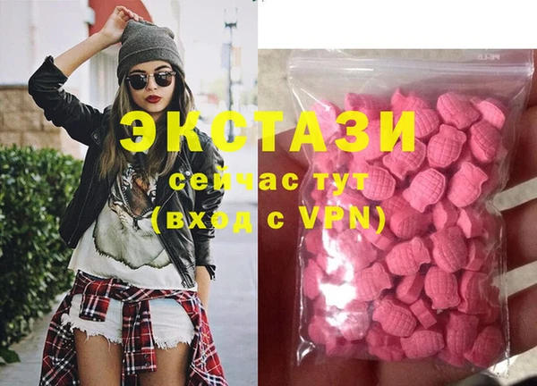 стаф Зерноград