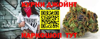 альфа пвп Новодвинск