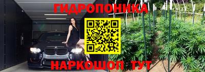 альфа пвп Новодвинск
